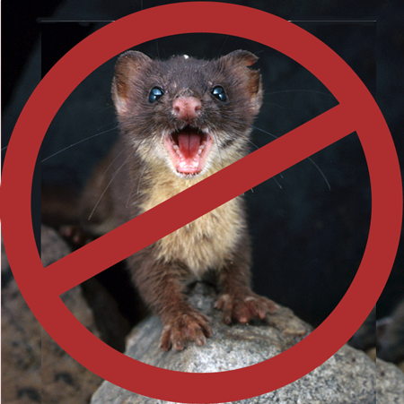 Who ya gonna call? Beeminder! no weasels